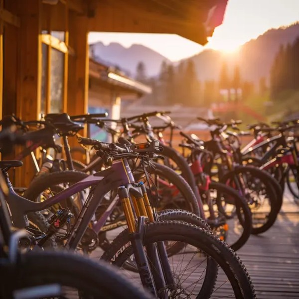 Mountainbike Rental