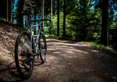 Gravel All-Road